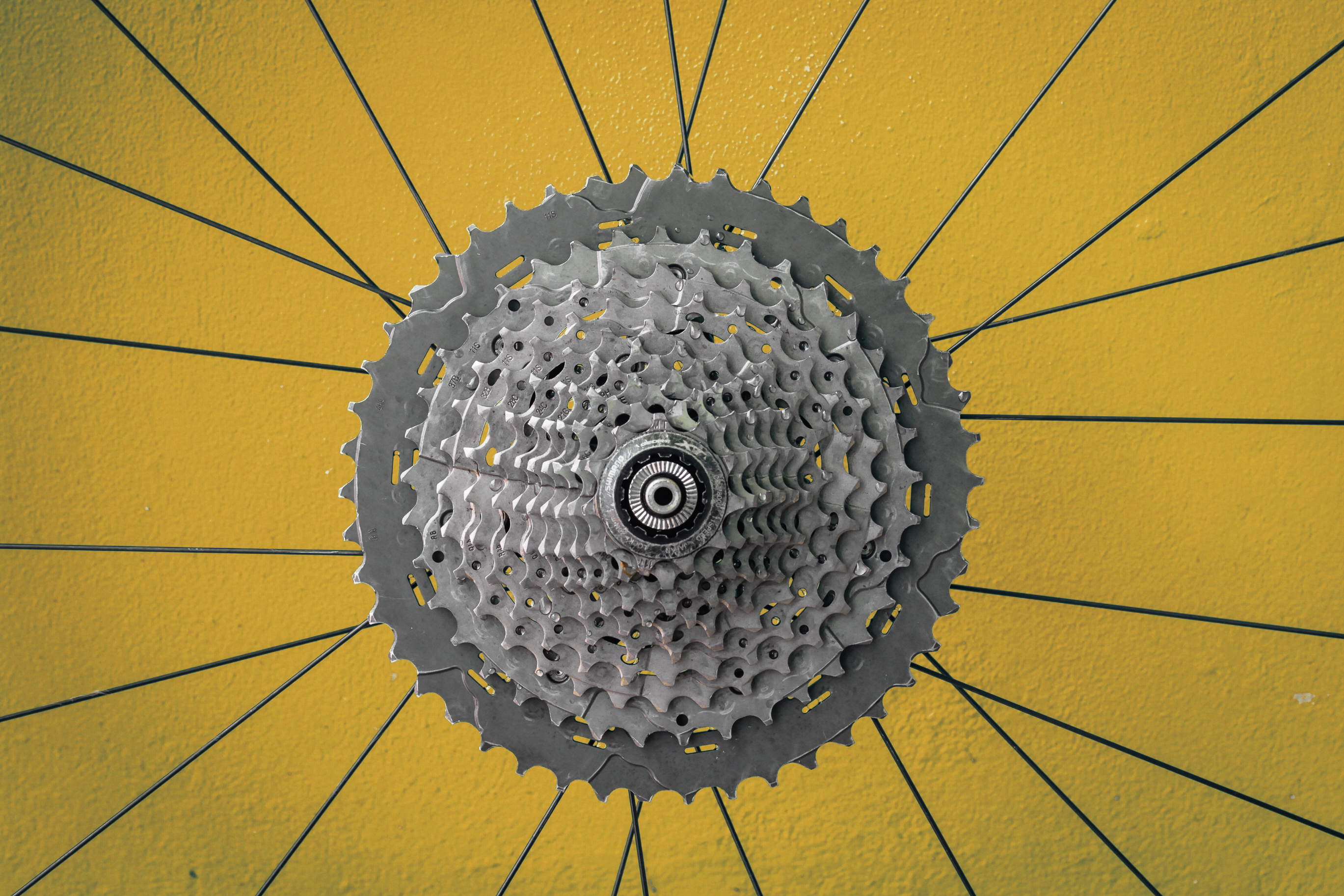 shutterstock_2382924047